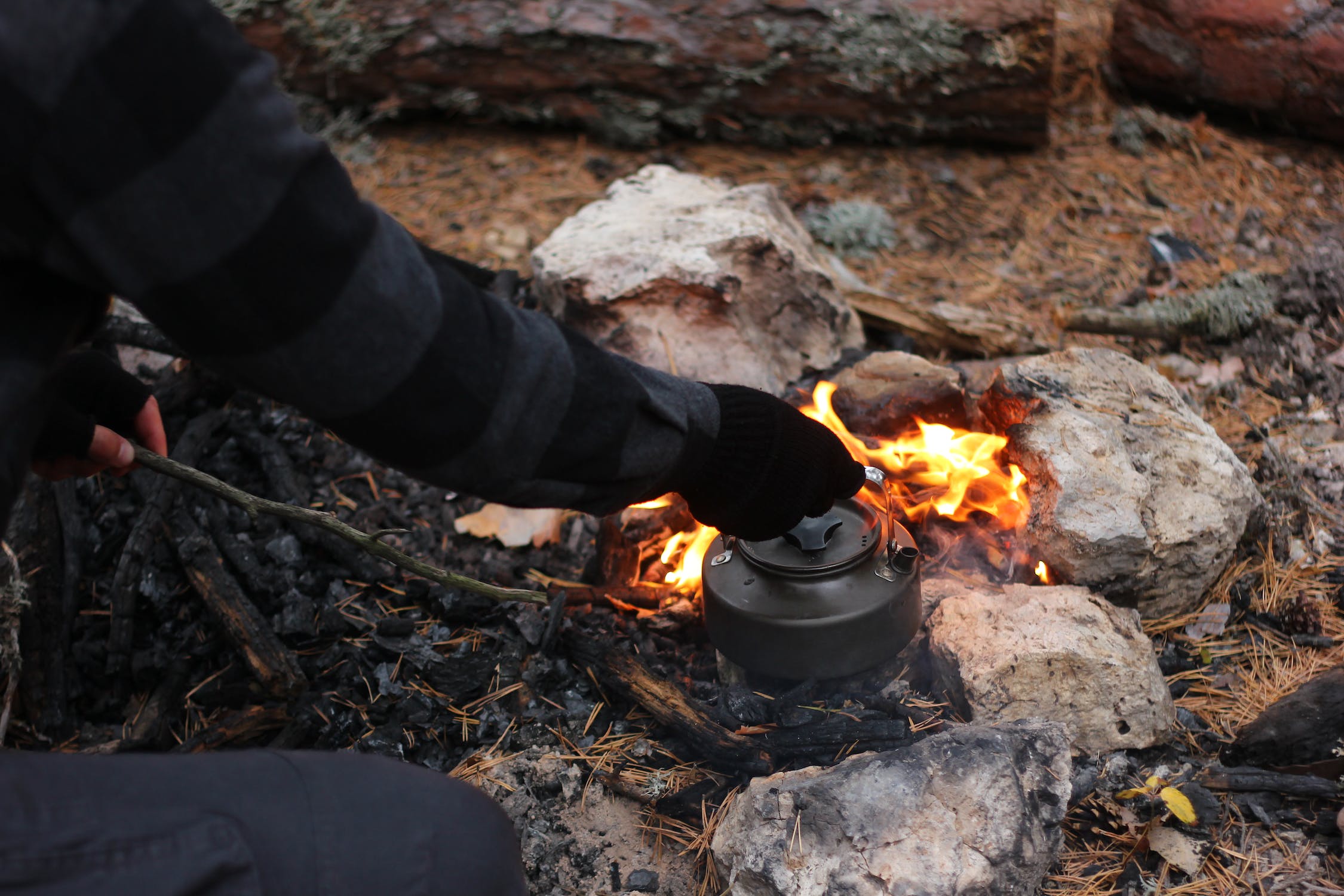 Survival Food: What to Pack for Long-Term Wilderness Trips