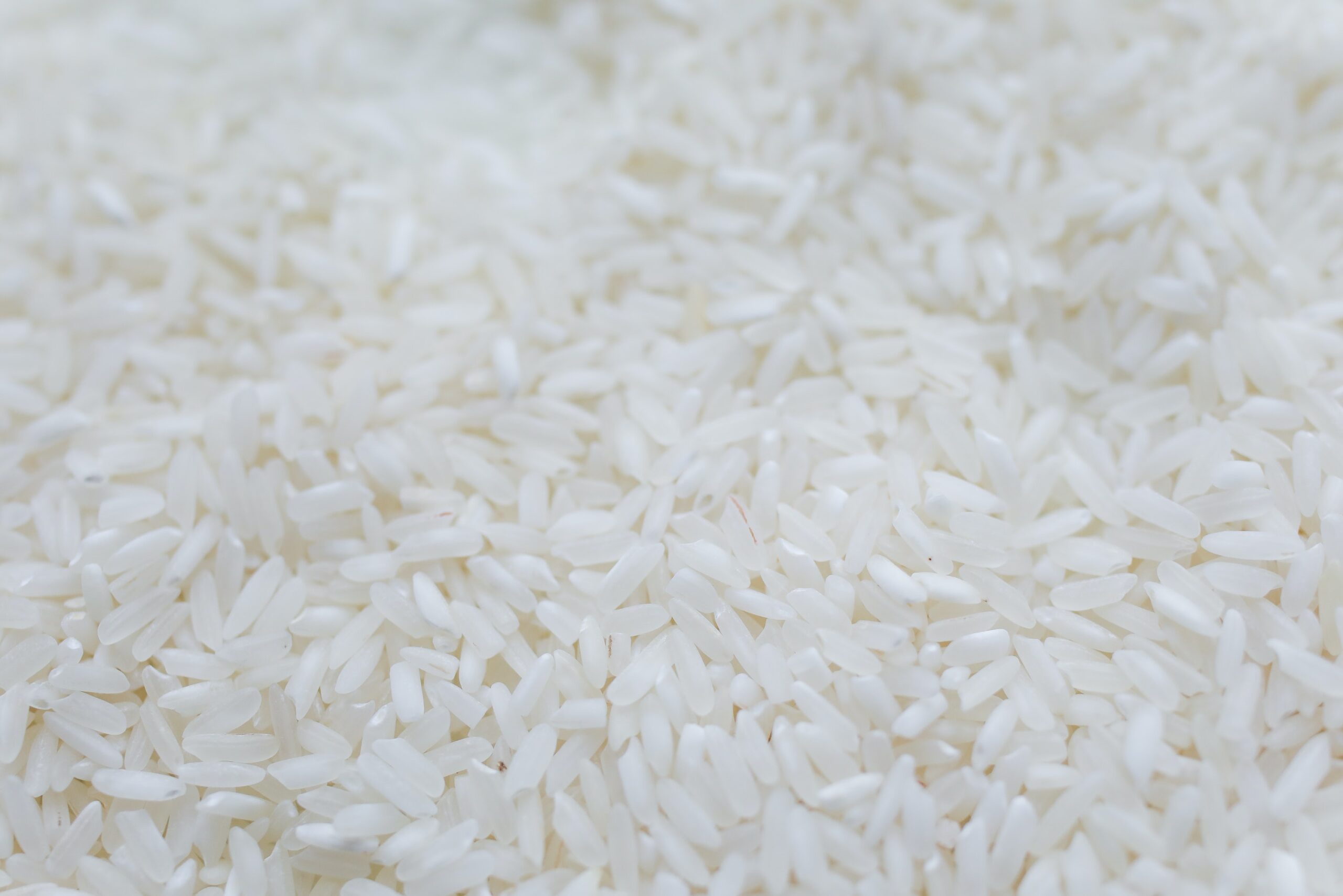 How to Store Rice Long-Term in Buckets